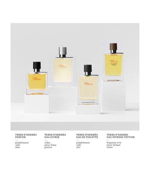 4. Bild von HERMÈS Terre d'Hermès Eau Givrée Eau de Parfum