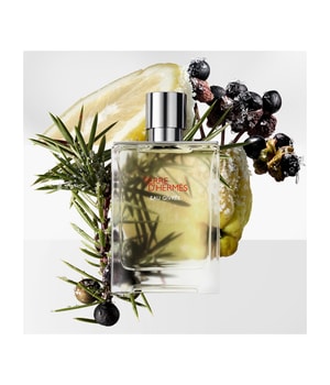 5. Bild von HERMÈS Terre d'Hermès Eau Givrée Eau de Parfum