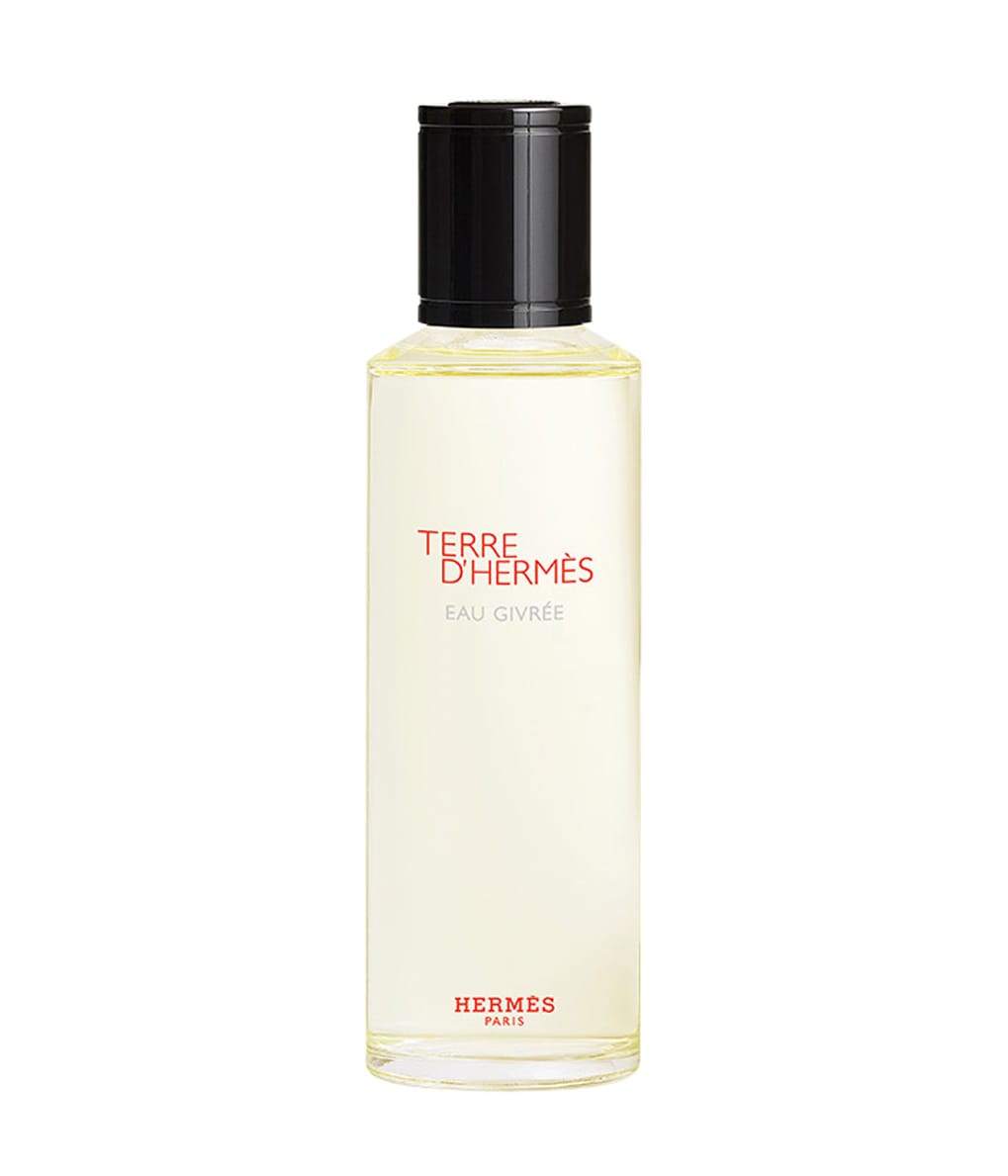 HERMÈS Terre d'Hermès Eau de Parfum 200 ml 3346130416654 base-shot_de