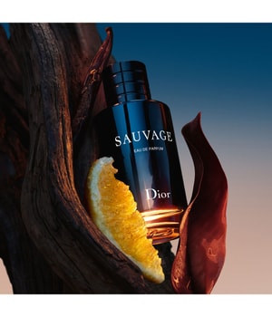 Dior sauvage Parfum - Fragrance