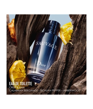 DIOR Sauvage Eau de Toilette online kaufen