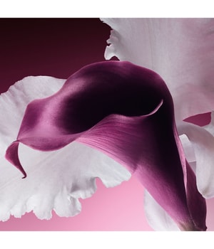 4. Bild von DIOR Capture Totale Le Sérum Gesichtsserum