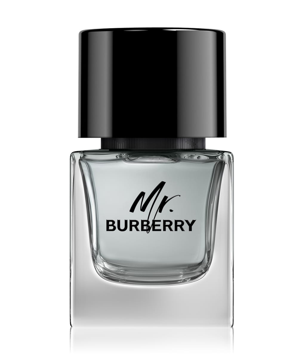 Burberry Mr. Burberry Eau de Toilette 50 ml 3614229840117 base-shot_de