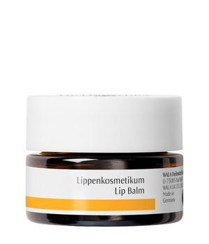 Dr. Hauschka Lippenpflege