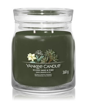 Yankee Candle Siver Sage & Pine Duftkerze 368 g 5038581129389 base-shot_de