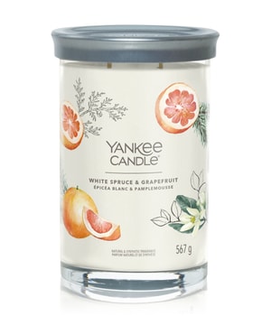 Yankee Candle White Spruce & Grapefruit Duftkerze 567 g 5038581143279 base-shot_de