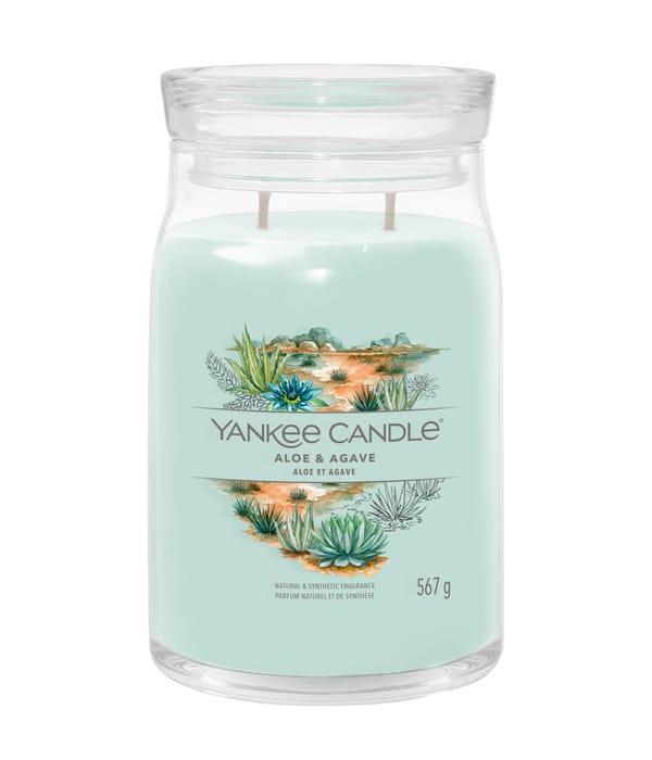 Produktbild 1 von 3, Yankee Candle Aloe & Agave Duftkerze