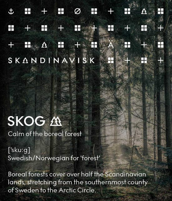 Produktbild 4 von 6, SKANDINAVISK SKOG Raumduft