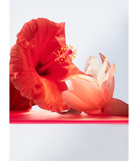 BVLGARI Omnia Eau de Toilette 100 ml 783320420672 visual3-shot_de
