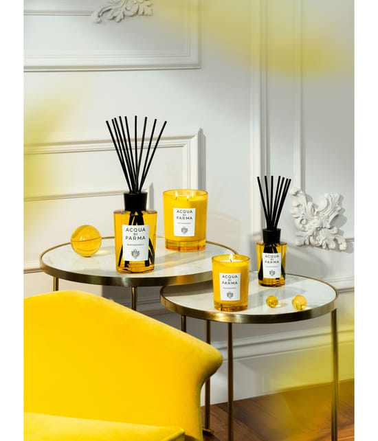 Acqua di Parma Room Diffuser Raumduft 180 ml 8028713620607 visual2-shot_de