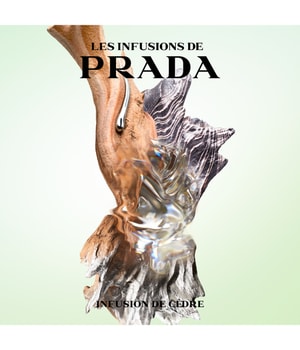 4. Bild von Prada Les Infusions De Cèdre Eau de Parfum