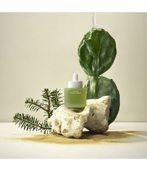 Produktbild 3 von 6, WHAMISA Cactus Inner Skin Moisture Gesichtsserum