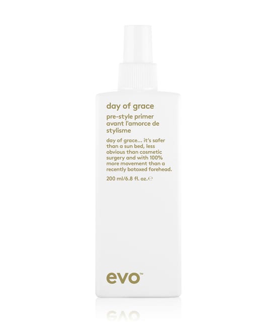 Produktbild 1 von 1, evo day of grace Leave-in-Treatment