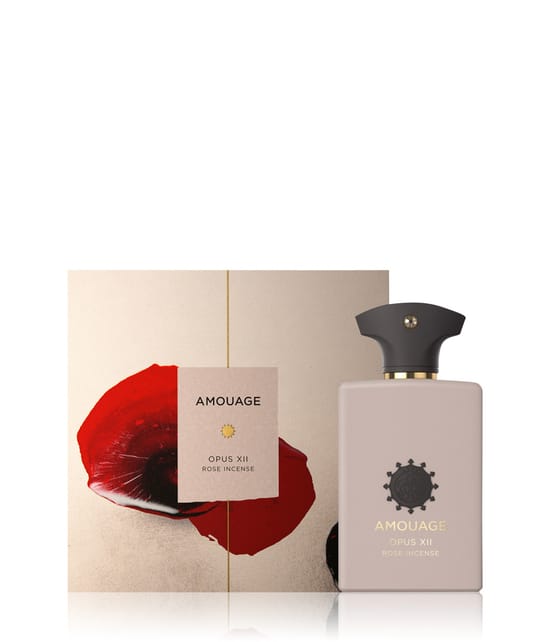 Amouage Library Eau de Parfum 100 ml 701666410553 pack-shot_de
