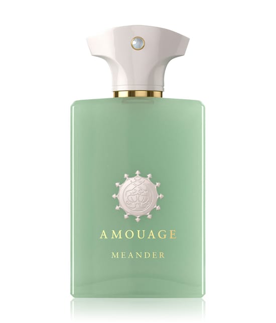Amouage Odyssey Eau de Parfum 100 ml 701666410379 base-shot_de