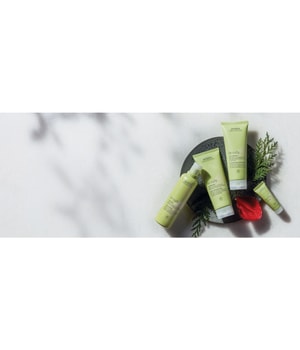 2. Bild von Aveda Be Curly Haarshampoo