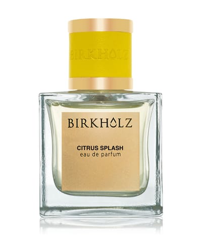 BIRKHOLZ Classic Collection Eau de Parfum 100 ml 4250588399089 base-shot_de