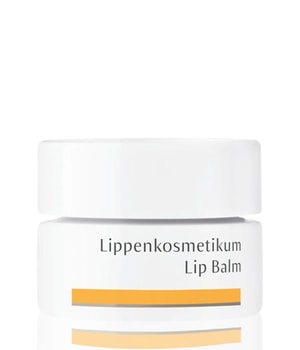Dr. Hauschka Lippenpflege Lippenbalsam 4.5 ml 42239536 base-shot_de