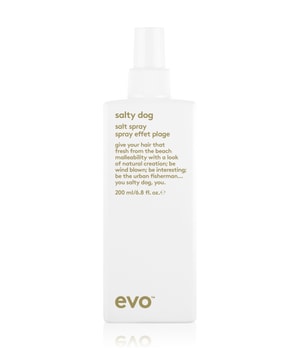 evo salty dog Salt Spray Texturizing Spray 200 ml unisex