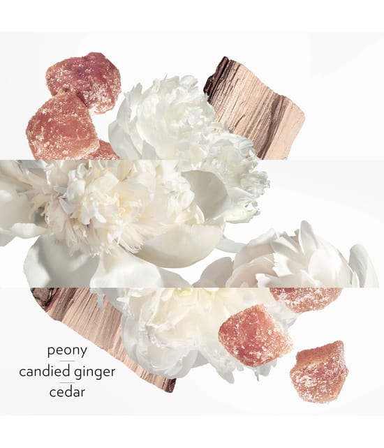 HERMÈS Twilly Eau Ginger Eau de Parfum 30 ml 3346133203657 detail-shot_de