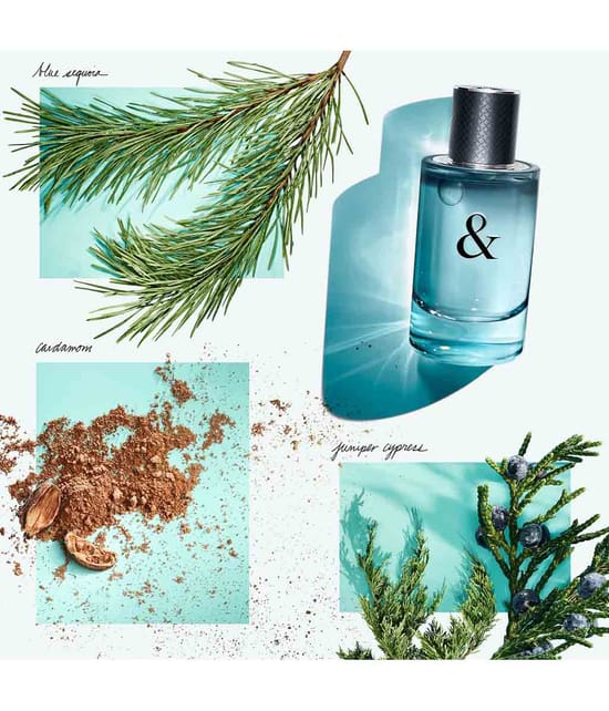 Produktbild 3 von 4, Tiffany & Co. & Love for Him Deodorant Spray