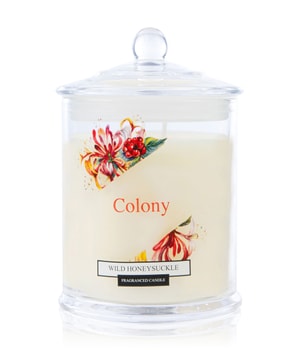 Wax Lyrical Colony Wild Honeysuckle Duftkerze 0.685 kg unisex