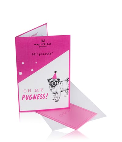 Wax Lyrical Gift Scents Raumduft 12.3 g 5015802220797 base-shot_de
