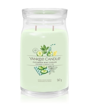 Yankee Candle Cucumber Mint Cooler Duftkerze 567 g 5038581151106 base-shot_de