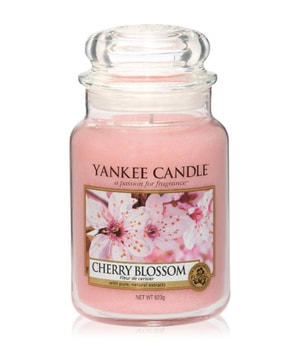 Yankee Candle Cherry Blossom Duftkerze 0.623 kg 5038581009155 base-shot_de