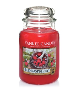 Yankee Candle Red Raspberry Duftkerze 0.623 kg 5038580061871 base-shot_de