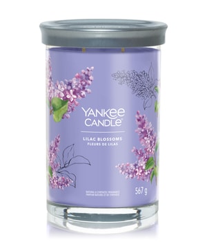 Yankee Candle Lilac Blossoms Duftkerze 567 g 5038581143248 base-shot_de