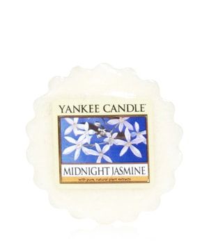 Yankee Candle Midnight Jasmine Duftwachs 22 g 5038581109251 base-shot_de