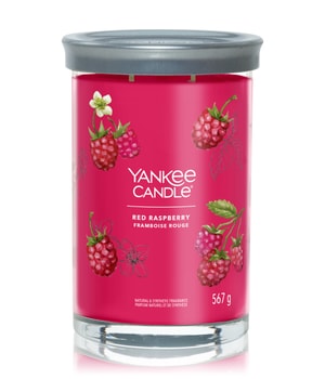 Yankee Candle Red Raspberry Duftkerze 567 g 5038581142937 base-shot_de