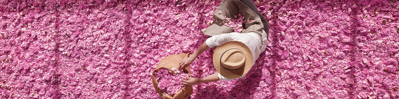 Dior Expertise