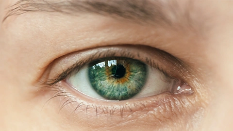 Grüne augen haare braune grüne Augen