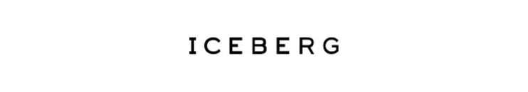 Iceberg
