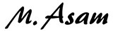 M. Asam