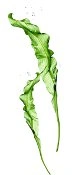 Geheimrezept Alge