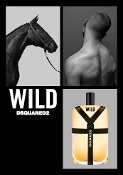 Visual zu Dsquared² Wild Visual zu Dsquared² Wild
