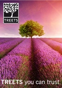 Duschschaum von Treets