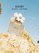 Das Daisy Parfum zwischen Gänseblümchen Das Daisy Parfum zwischen Gänseblümchen