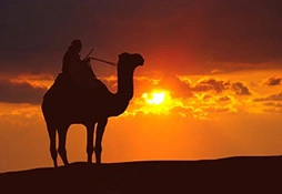 Orientalische Düfte entführen in ferne Welten