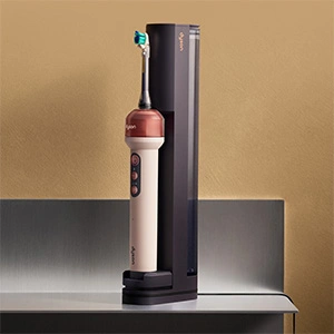 Dyson CamerJet™ Ladestation