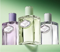 Prada Les Infusion Flakon