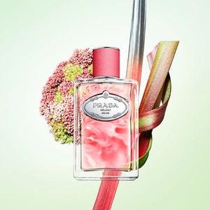 Prada Infusion de Rhubarbe bei flaconi Prada Infusion de Rhubarbe Flakon mit Inhaltsstoffen