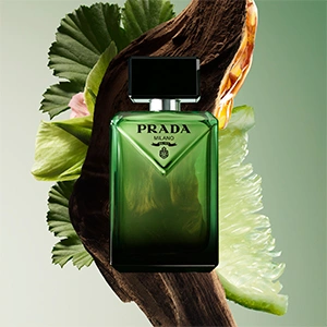 Prada Paradigme Flakon und Inhaltsstoffe