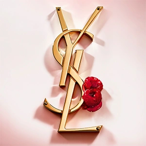 YSL Logo und Himberren